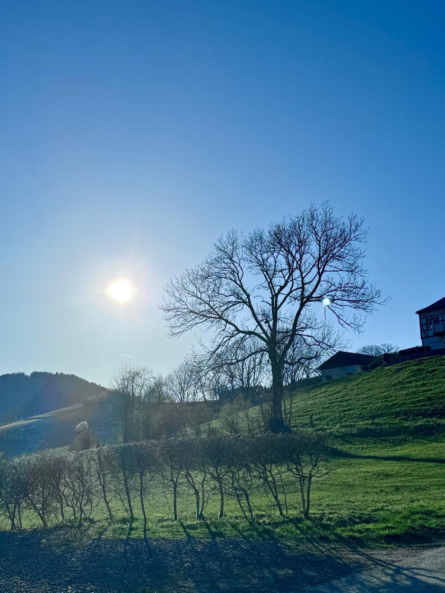 Landferienwohnung Simon Schmallenberg Dış mekan fotoğraf